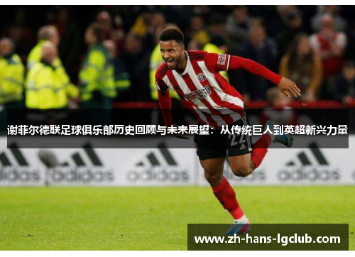 谢菲尔德联足球俱乐部历史回顾与未来展望：从传统巨人到英超新兴力量