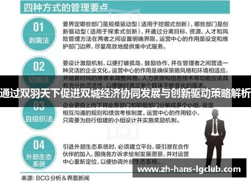 通过双羽天下促进双城经济协同发展与创新驱动策略解析