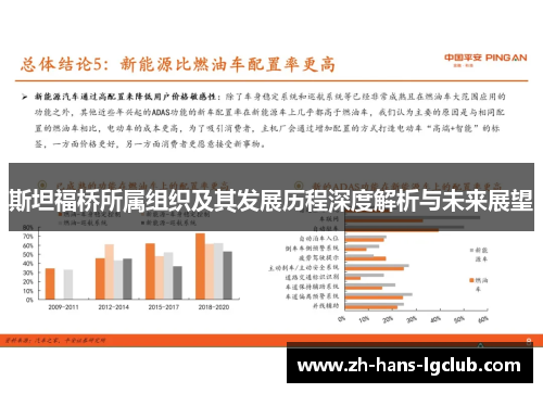 斯坦福桥所属组织及其发展历程深度解析与未来展望 斯坦福桥所属组织及其发展历程深度解析与未来展望